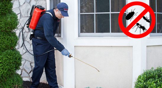 Eceabat Kene İlaçlama böcek ilaçlama ve haşere kontrolü — ilaclama-tr.com